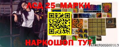 спайс Кимры